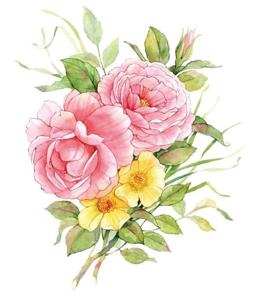 Орнамент Анютины глазки