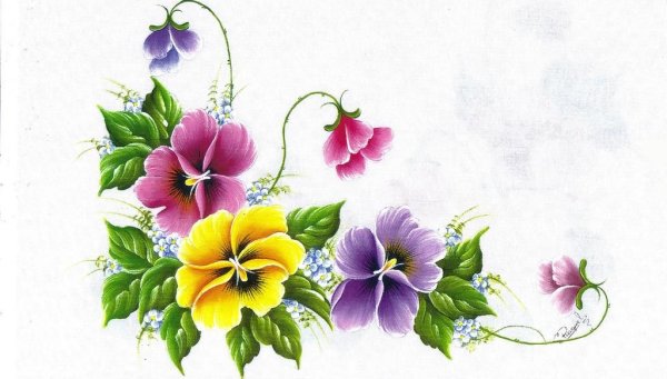 Цветы угловые