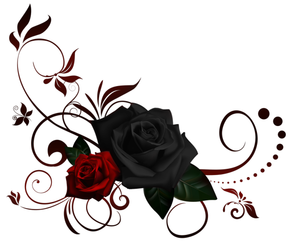 Красивый букет цветов рисованный