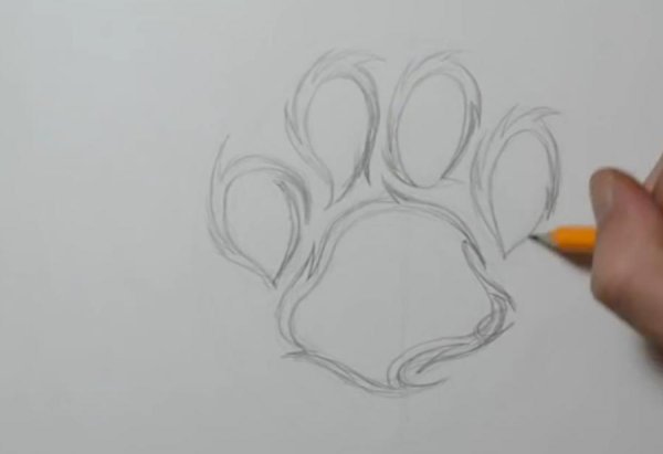 Рисунки для срисовки перо