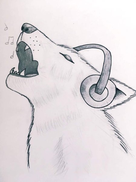 Рисунки для срисовки лёгкие