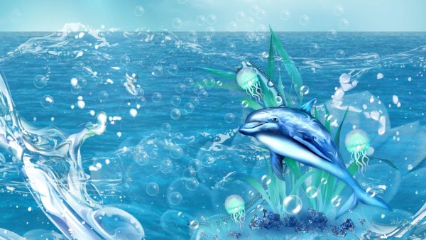 Морской фон для презентации