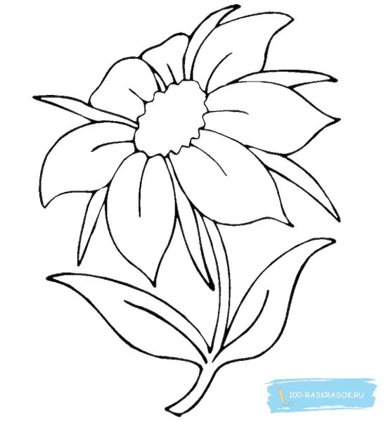 Цветик семицветик рисунок для детей раскраска