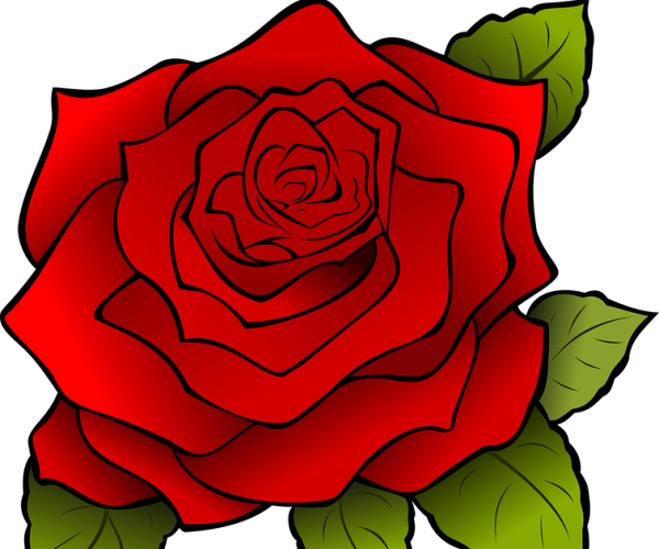 Рисуем розы