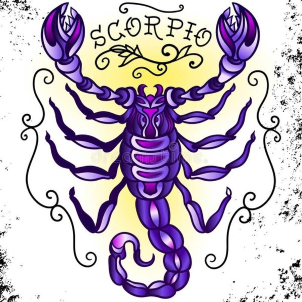 Скорпион знак зодиака Пинтерест