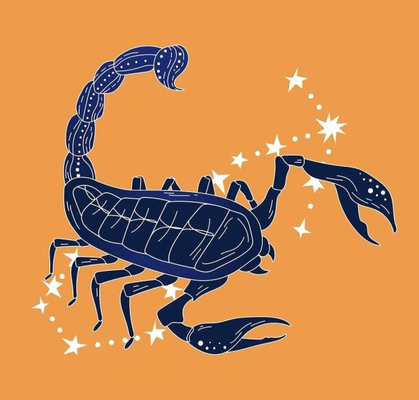 Скорпион Зодиак вектор