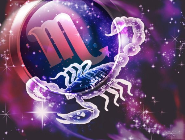 Знак зодиака Скорпион