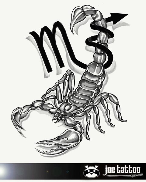 Татуировка Скорпион эскизы