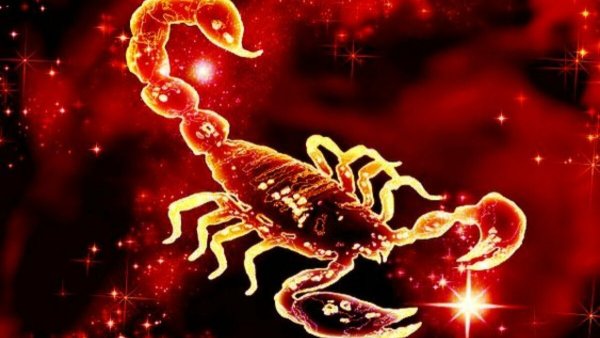 Скорпион знак