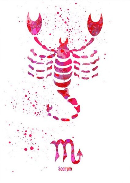 Скорпион знак зодиака рисунок