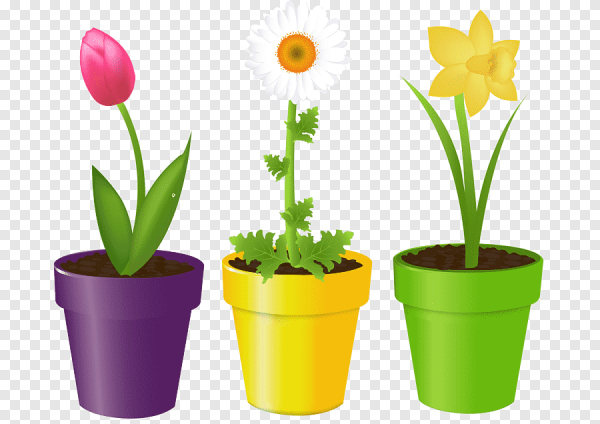 Цветочек в горшке