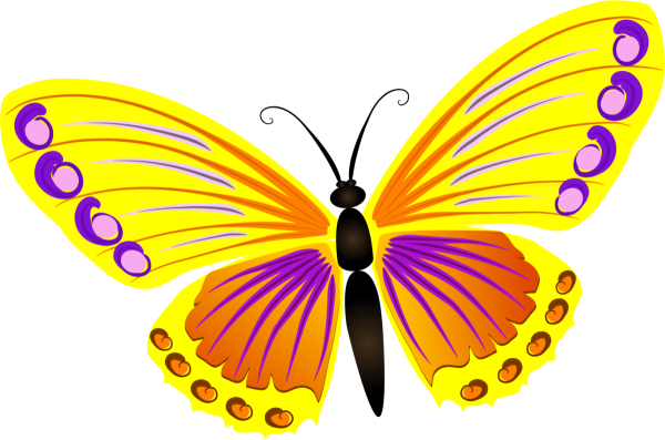 Бабочки картинки для детей