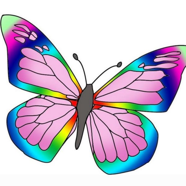 Бабочка рисунок