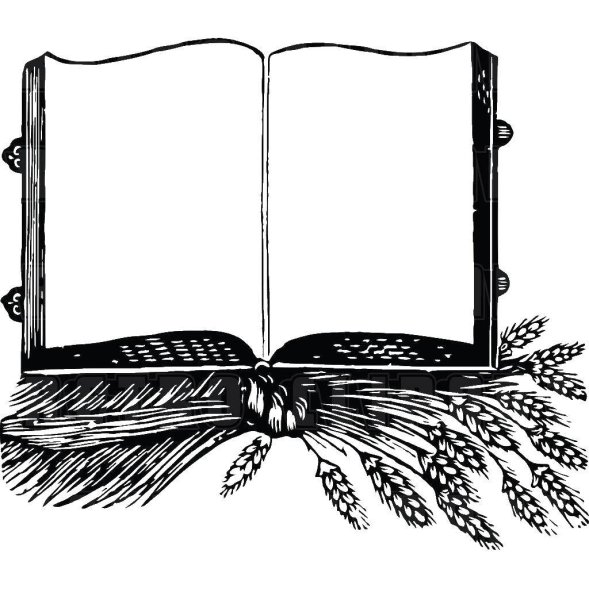 Раскрытая книга