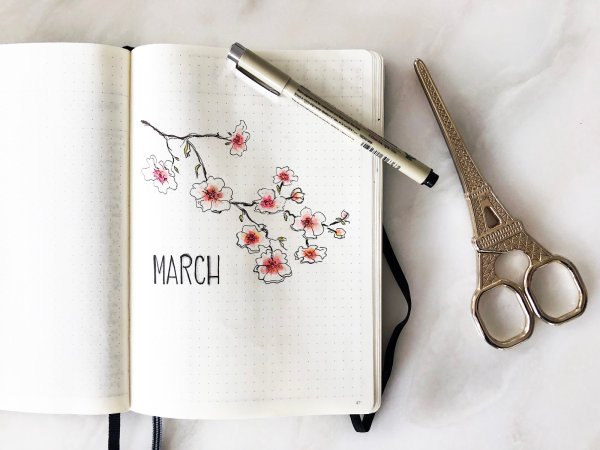 Оригинальные обложки на тетради