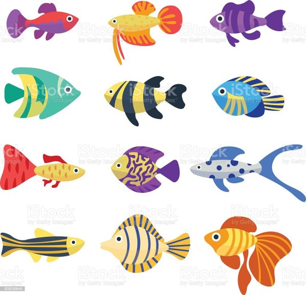 Аквариумные рыбки цветные для детей