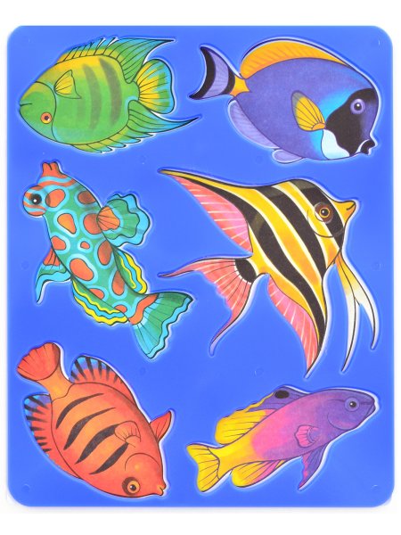 Цветные рыбки для аквариума