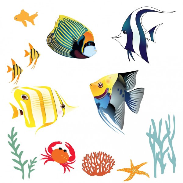 Тропические рыбки