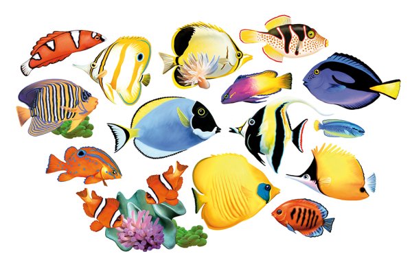 Морские рыбы