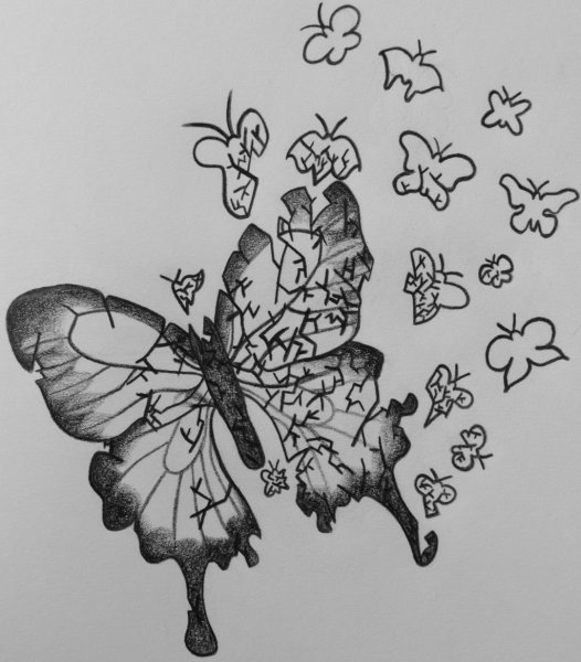 Бабочка карандашом