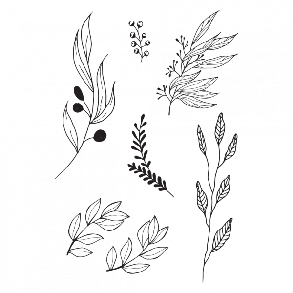 Тату веточка эскиз