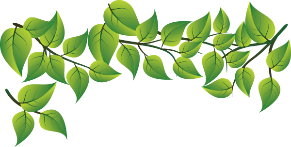 Ветка с листьями