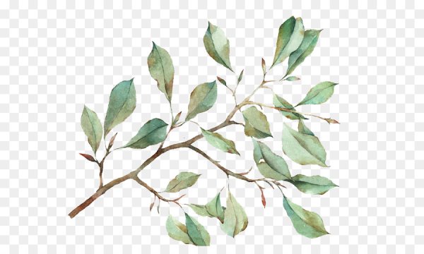 Листья акварель