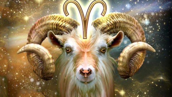 Козерог живопись
