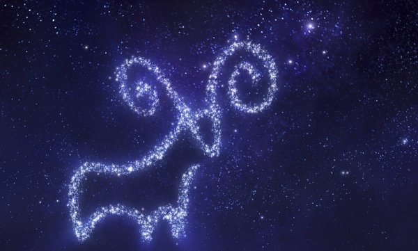 Знаки зодиака. Овен