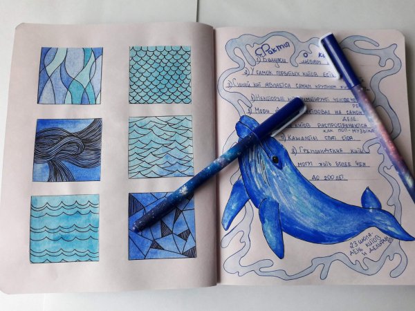 Идеи для оформления личного дневника