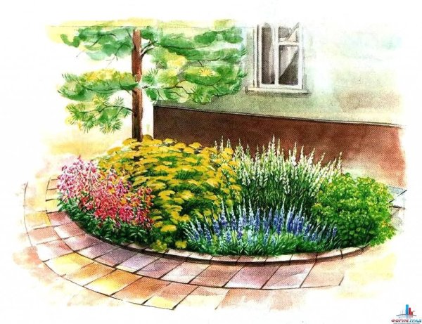 Зарисовки клумб