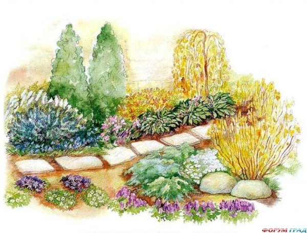 Миксбордер акварель