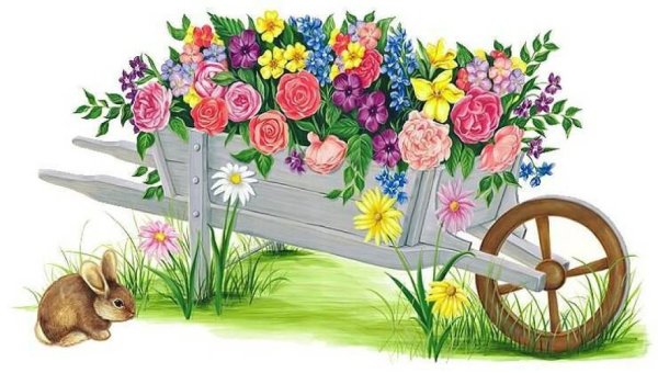 Клумба с цветами рисунок