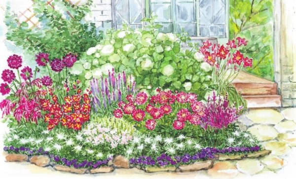 Цветники, миксбордеры, георгины