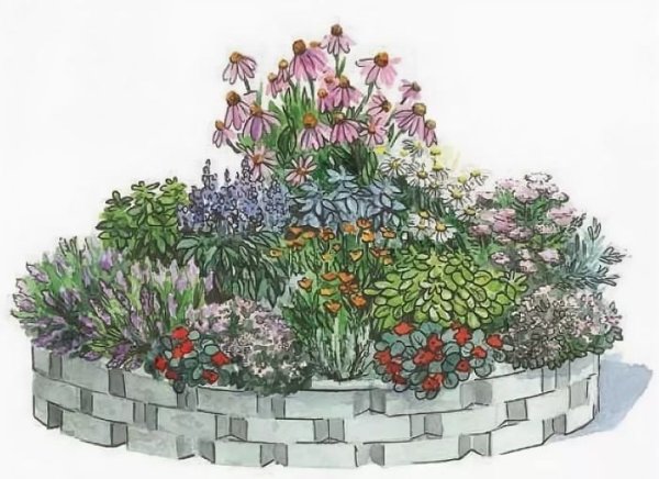 Ландшафтный скетч клумба миксбордер