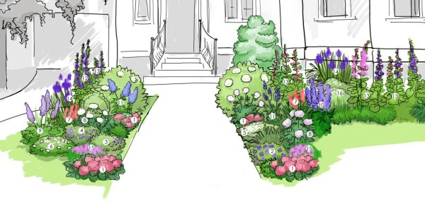 Эскиз цветника