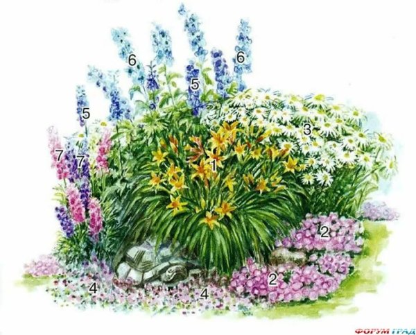 Клумба Мальва дельфиниум Хоста Флоксы рудбекия