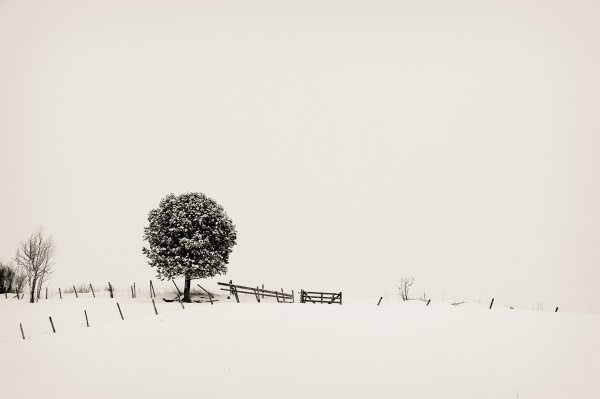 Картины Минимализм