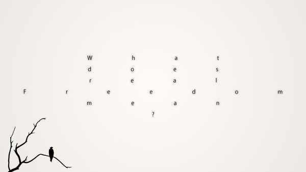 Птица Минимализм