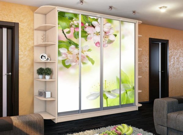 Шкаф-купе в спальню с фотопечатью и зеркалом