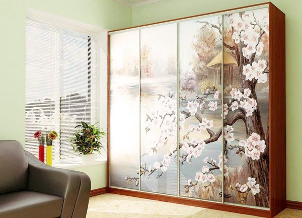 Шкаф купе с фотопечатью