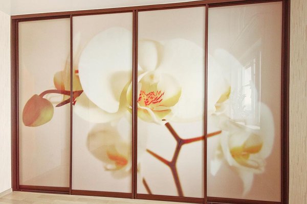 Шкаф купе с орхидеями