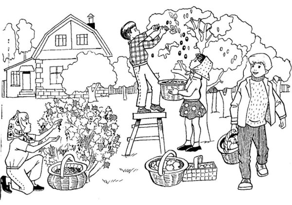 Картина Овощевод для детей