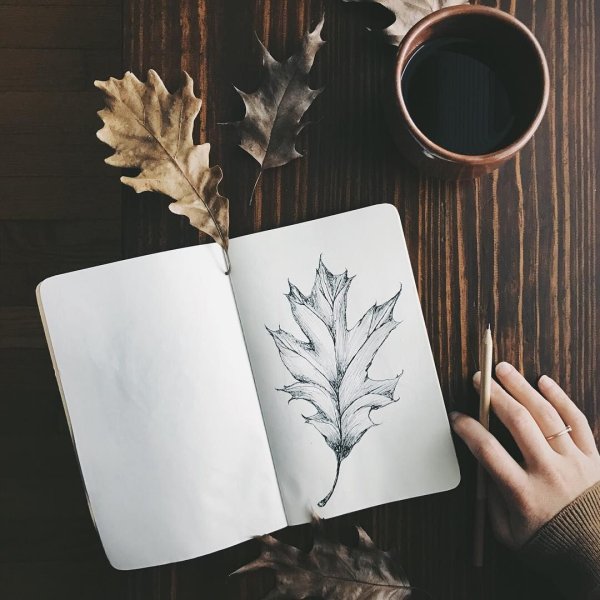 Осенняя Эстетика скетчи