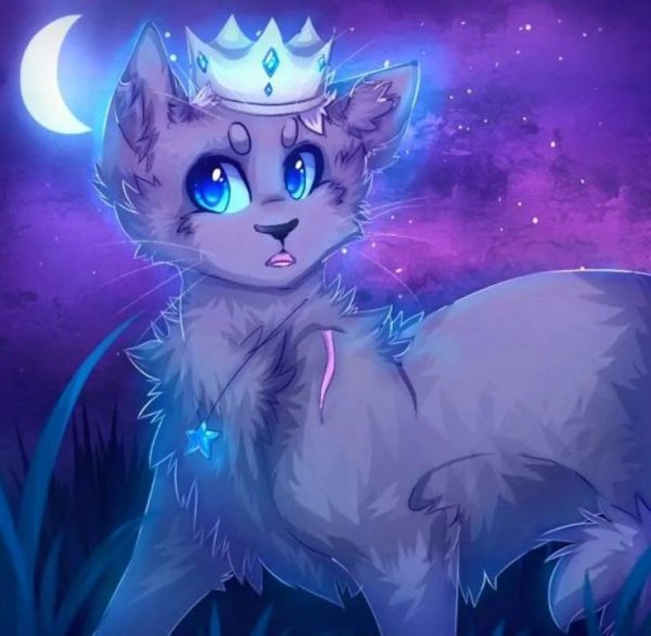 Коты Воители синеглазз