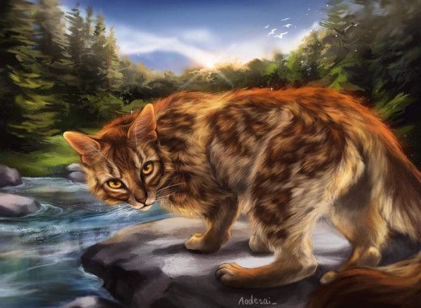 Коты Воители Воители