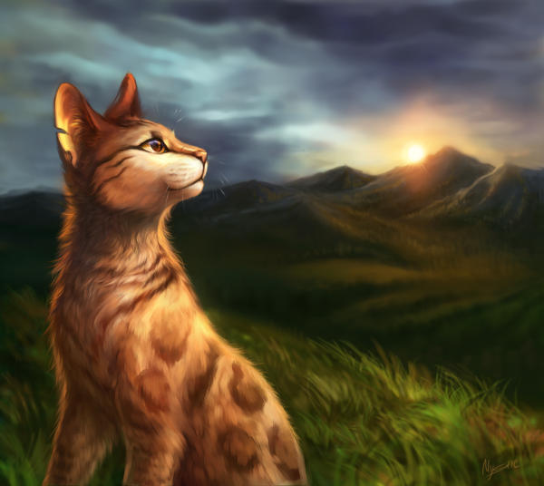 Коты Воители Алозвёзд