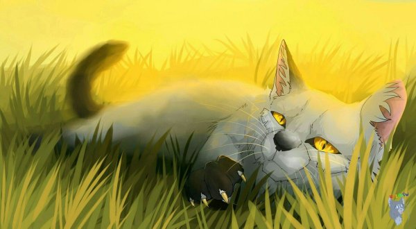 Коты Воители Чернозвезд