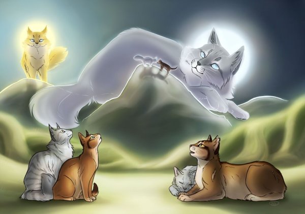 Коты Воители принцесса и белохвост