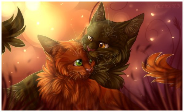 Коты Воители Ежевичная звезда и белка